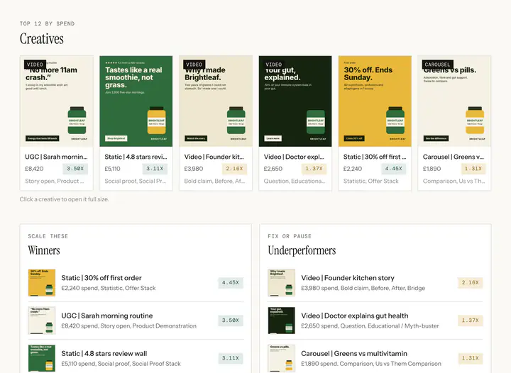 CTRL Meta performance: a demo brand's creatives by spend with ROAS, winners and underperformers